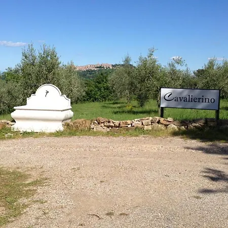 Cavalierino * Montepulciano Stazione