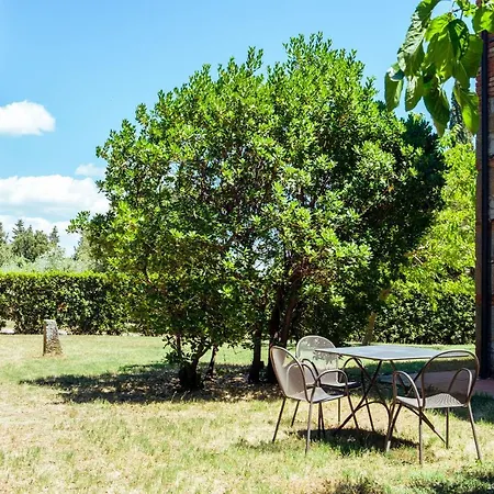 Cavalierino * Montepulciano Stazione